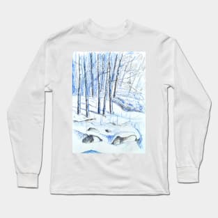 snow in new hampshire Long Sleeve T-Shirt